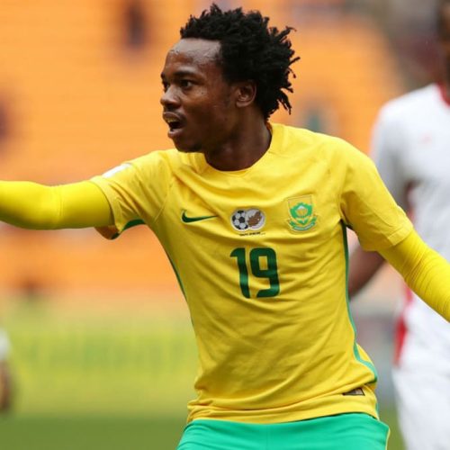 Tau: Bafana have what it takes to qualify 