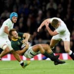 Springboks