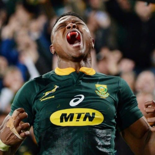 Five top SA rugby moments of 2018