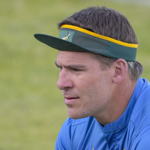 Vermeulen, Brits start for Bulls