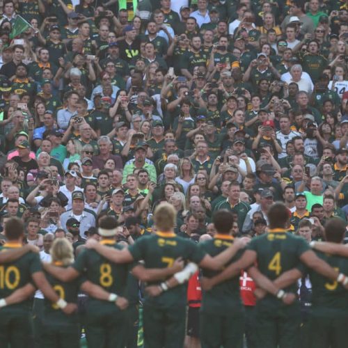 16 Springbok stats and facts