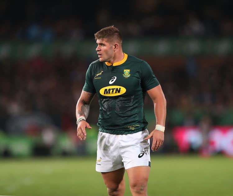 You are currently viewing Ratings: Marx misfires in Springbok defeat