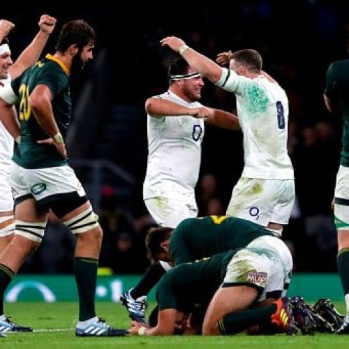 Springboks only have themselves to blame
