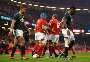 Read more about the article Venter: Boks have failed to progress