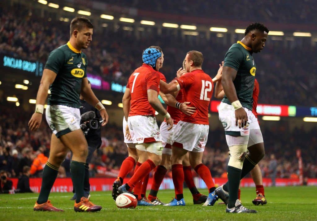 You are currently viewing Erasmus: Boks were outplayed by Wales