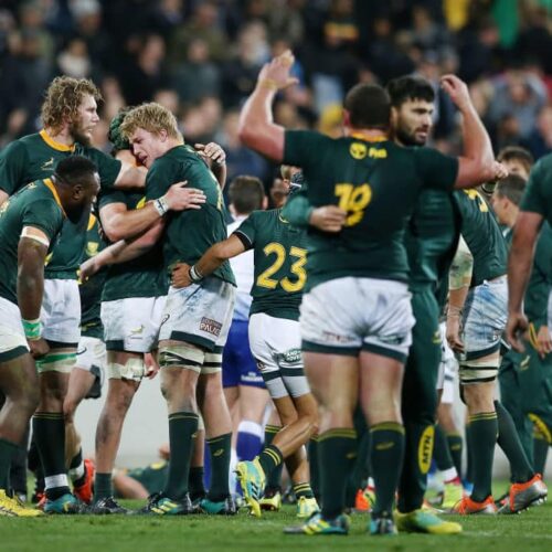 Springboks’ 2018 pros and cons