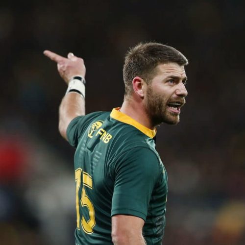 Springboks bolstered for France clash