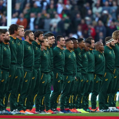 Stick: Springboks’ best to face Wales