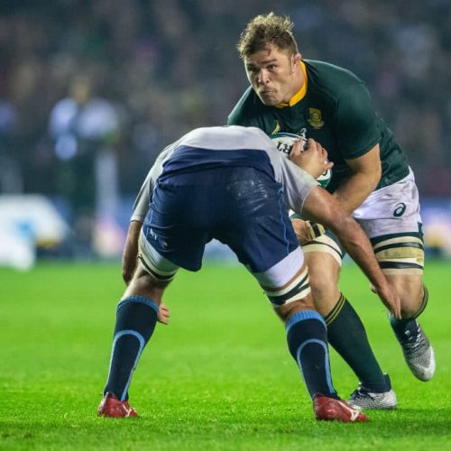 Ratings: Duane, Papier impress for Springboks