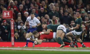 Read more about the article Springboks end year in defeat