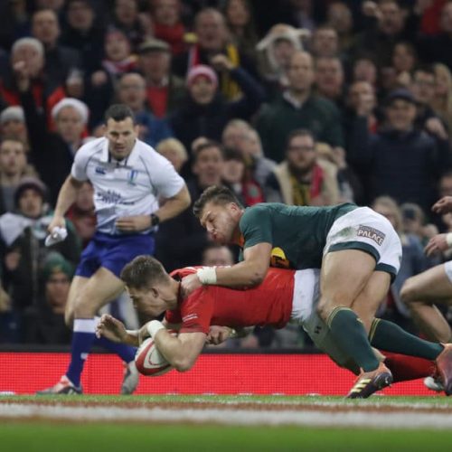 Springboks end year in defeat
