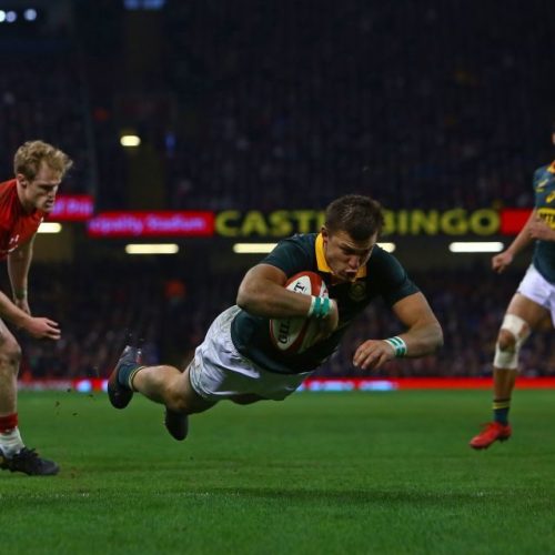 Bet on Boks, England to win