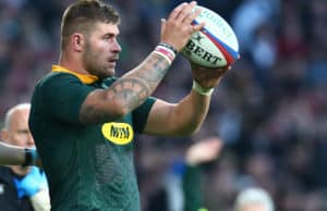 Read more about the article Springboks can learn from Twickenham letdown