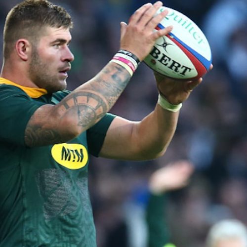 Springboks can learn from Twickenham letdown