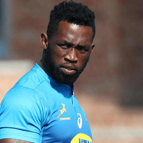 Kolisi: ‘head-butt’ wasn’t on purpose