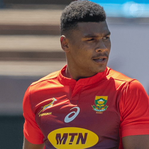 Rassie: Willemse deserves a start