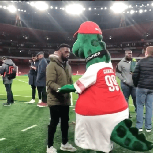 Watch: Arsenal mascot meets Springboks