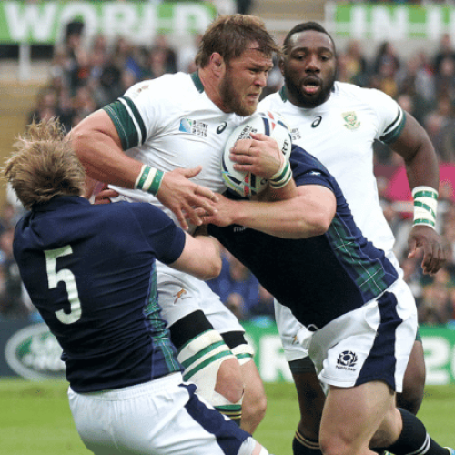 Preview: Scotland vs Springboks