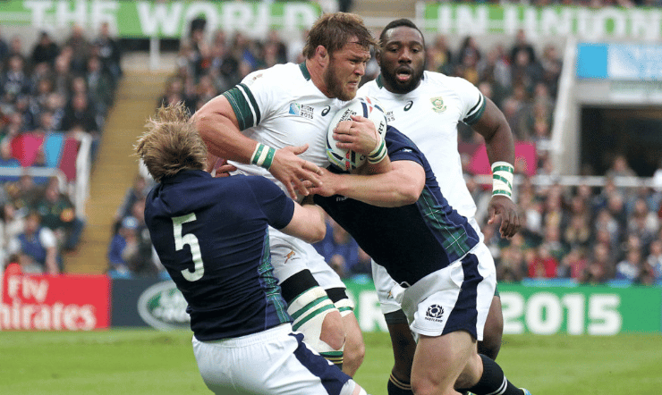 You are currently viewing Preview: Scotland vs Springboks