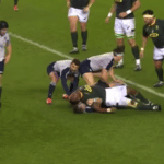 Siya kolisi