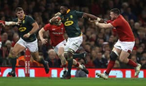 Read more about the article Preview: Wales vs Springboks
