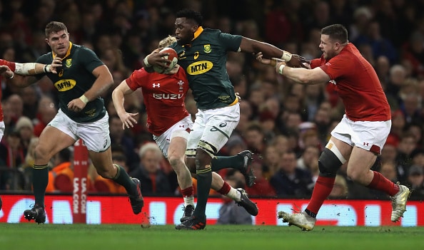 You are currently viewing Preview: Wales vs Springboks