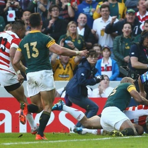 Springboks to face Japan in World Cup warm-up