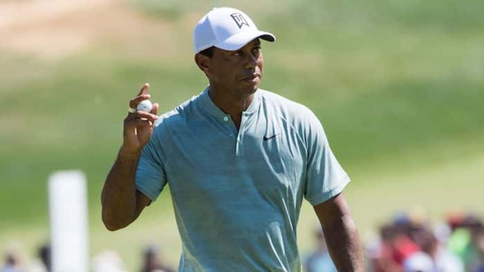 You are currently viewing Tiger profits after comeback success