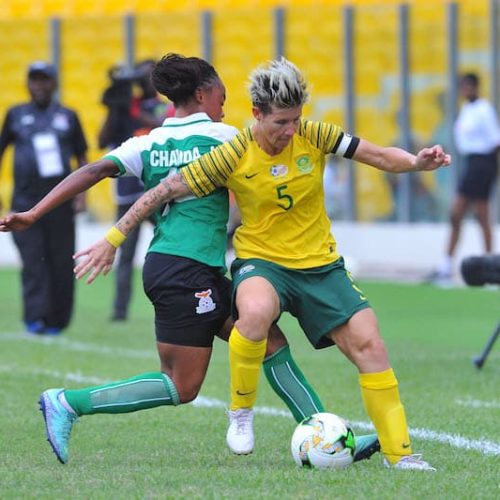 Van Wyk: Sweden is not an easy opponent