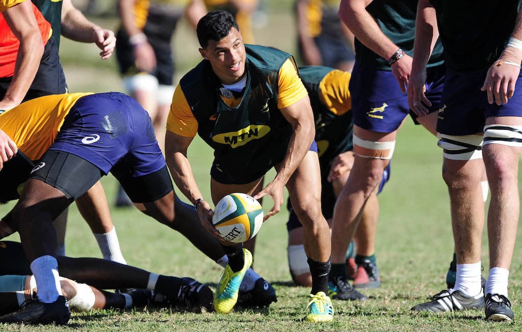 You are currently viewing Springbok coach’s 2019 wishlist