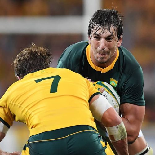 Etzebeth commits to Toulon