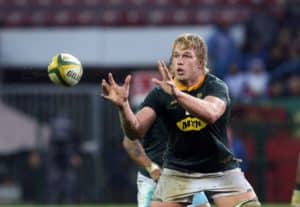 Read more about the article Du Toit, Marx up for SA Rugby award