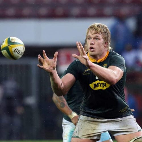 Du Toit, Marx up for SA Rugby award