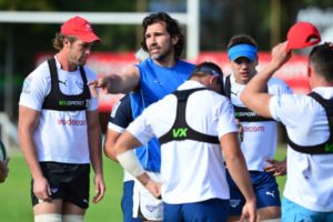 Read more about the article Matfield says no to Bulls job