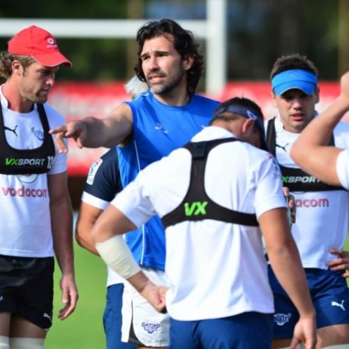 Matfield decision down to job insecurity