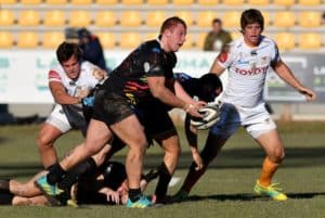 Read more about the article Cheetahs too good for Zebre
