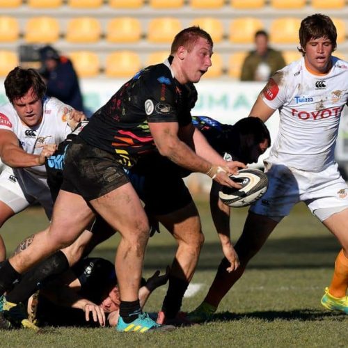 Cheetahs too good for Zebre