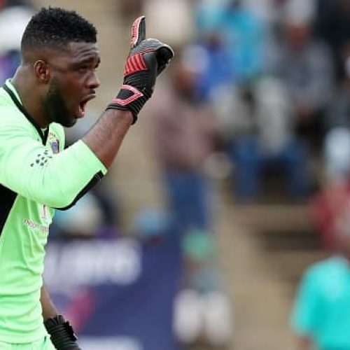 Chiefs sign Akpeyi to fill Khune void