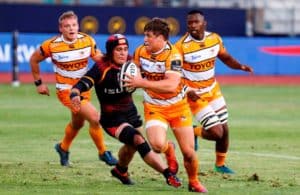 Read more about the article Cheetahs’ late show sinks Kings