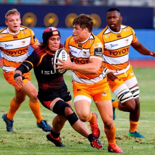 Cheetahs’ late show sinks Kings