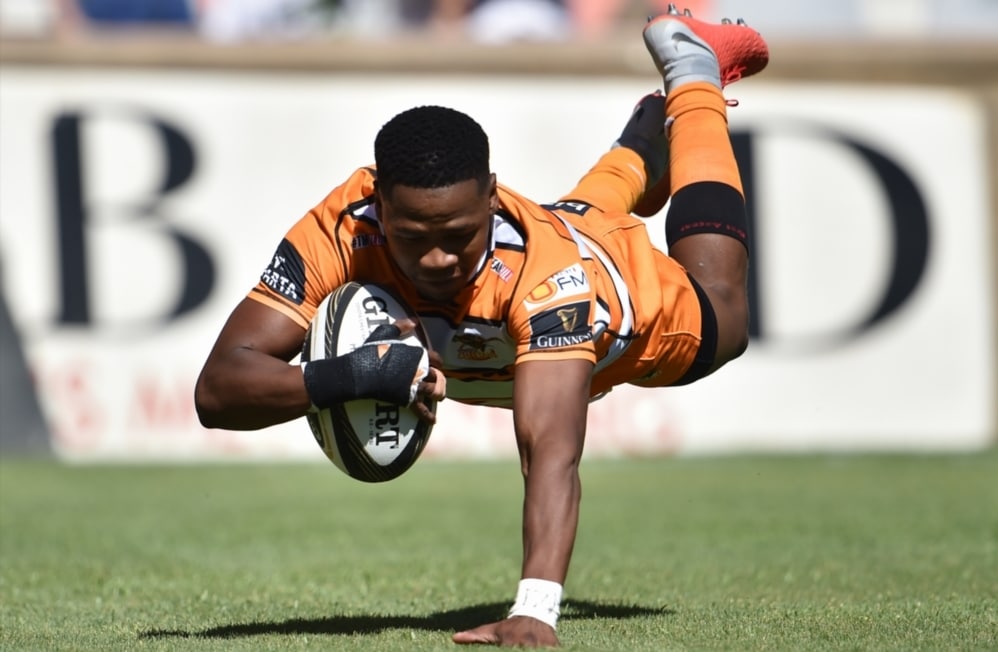 You are currently viewing Clinical Cheetahs maul Zebre