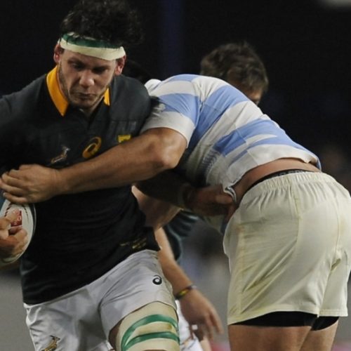 Coetzee: I’m passionate about the Springboks