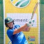 Proteas