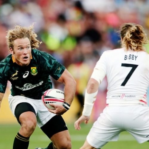 Powell: Blitzboks need to give everything