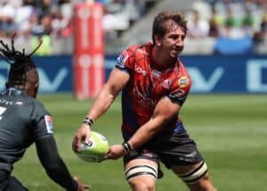 Read more about the article Kwagga blow for injury-hit Lions