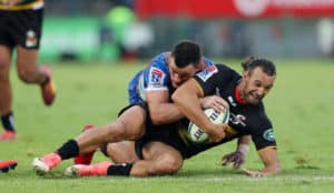 Read more about the article Fleck: Stormers had an off day