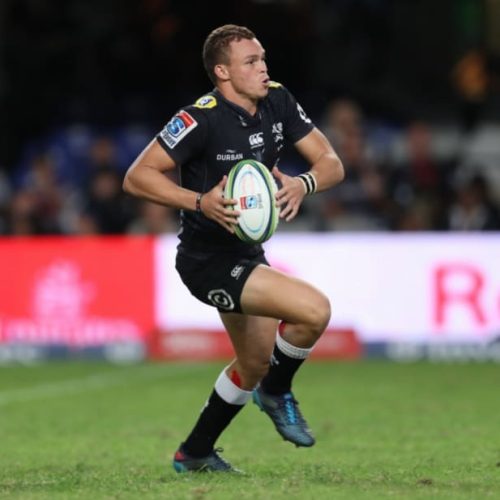 Double Bok boost for Sharks