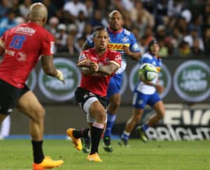 Read more about the article Lions primed to sink Stormers