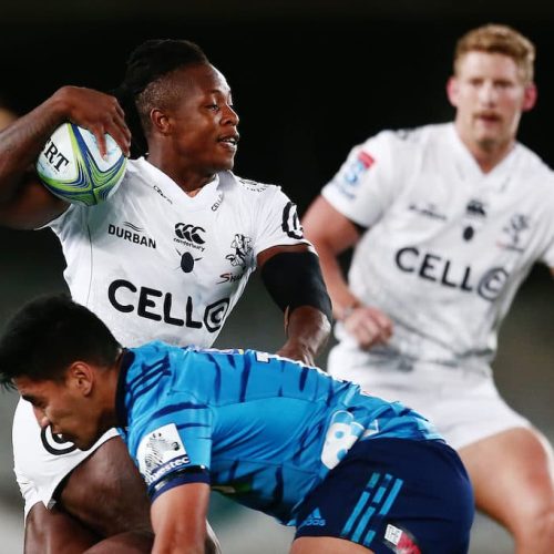 Sharks must be wary of Blues