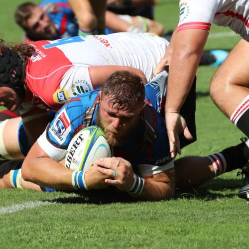 Bulls overpower Lions at Ellis Park